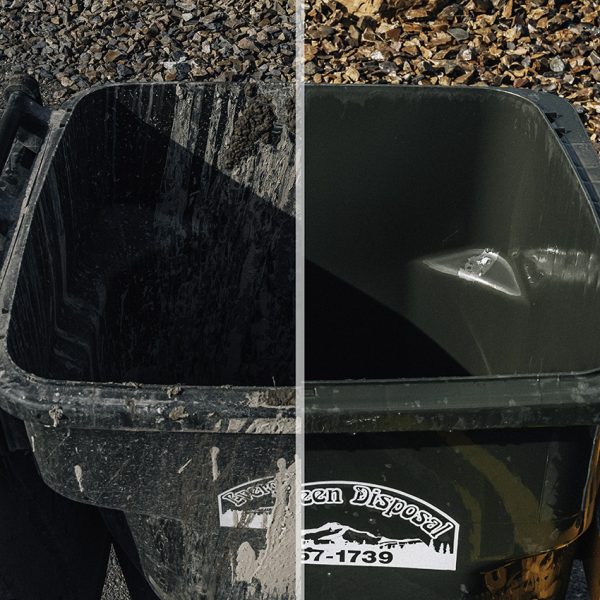 Garbage Bin Cleaning Before After